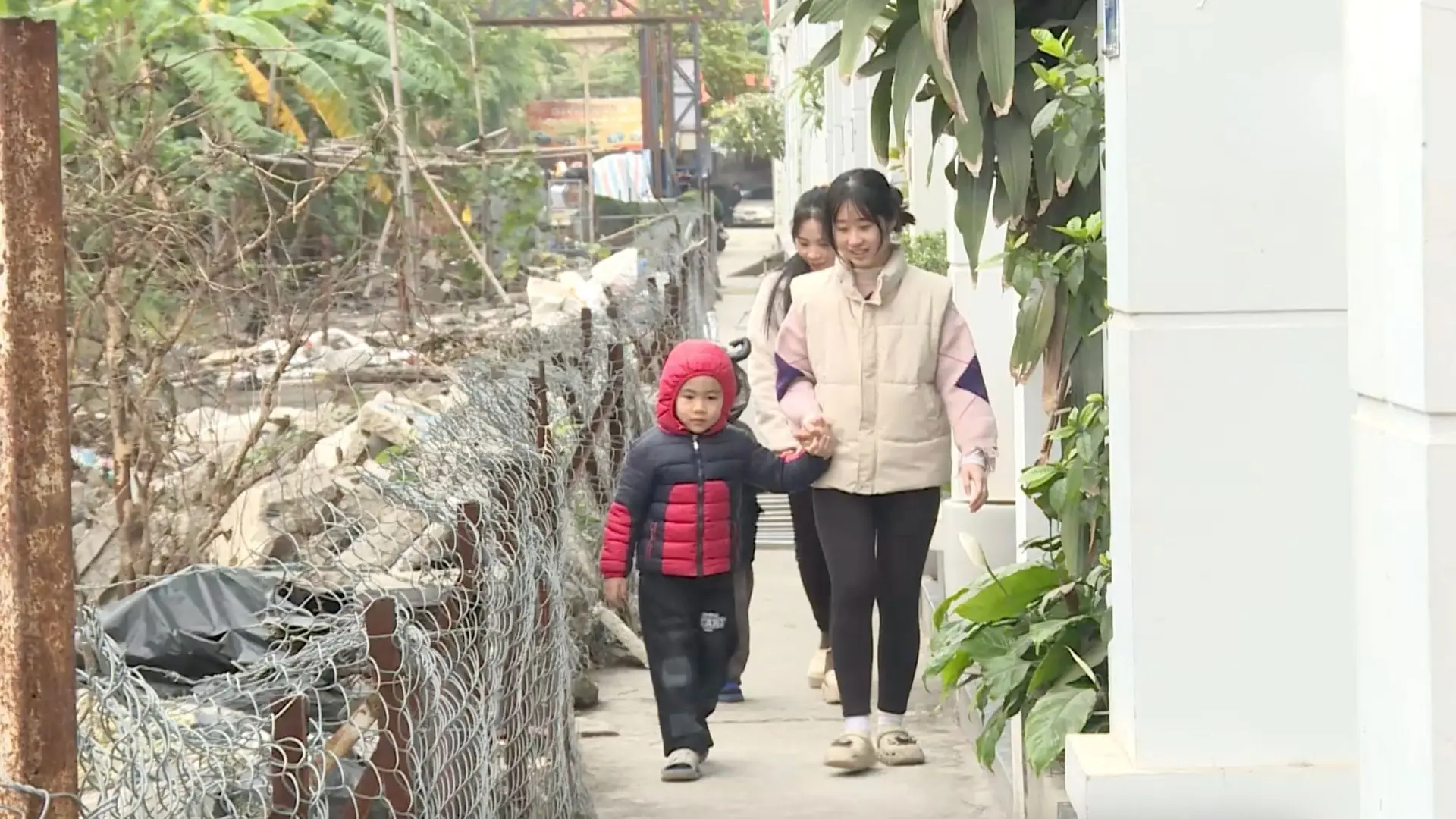 Vướng mắc khiến con đường vào khu Hateco 6 bị rào chắn | Hộp thư truyền hình | 10/01/2026